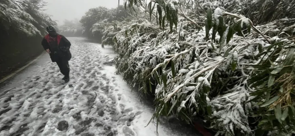 台灣下雪了！陽明山、合歡山等地點下雪實況都在這