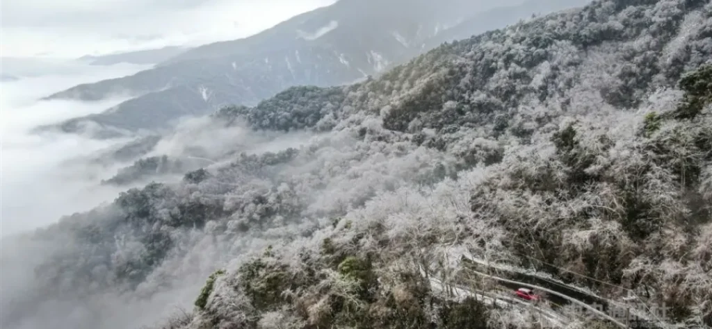 台灣下雪了！陽明山、合歡山等地點下雪實況都在這