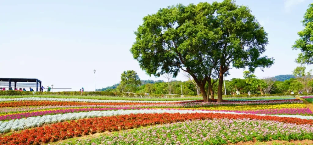 台北 北投社三層崎公園