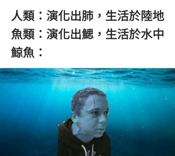 鯨魚憋氣