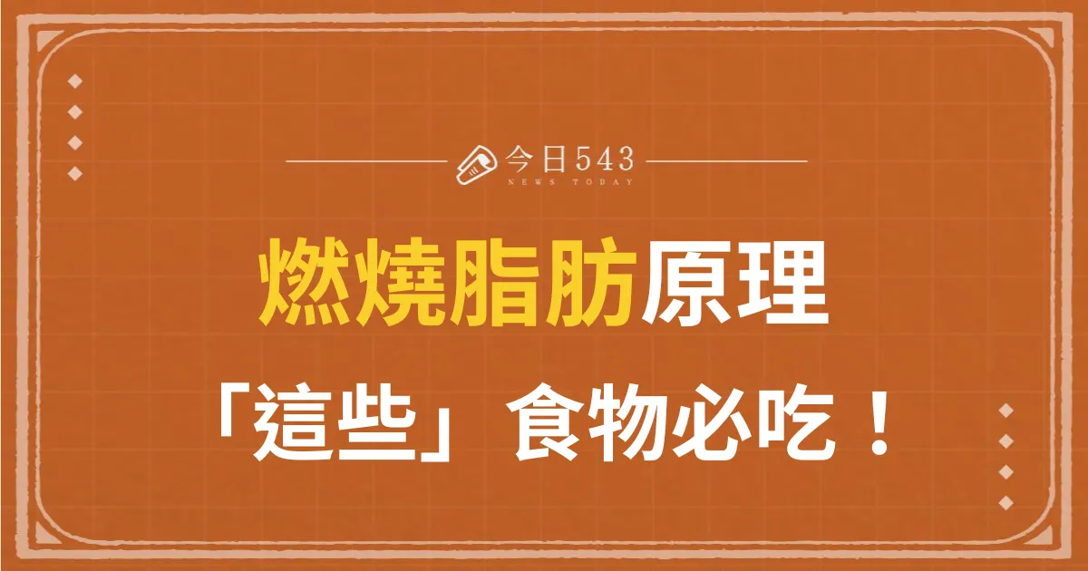 燃燒脂肪要吃什麼？「這些」燃脂食物必吃！一文帶你了解脂肪燃燒原理