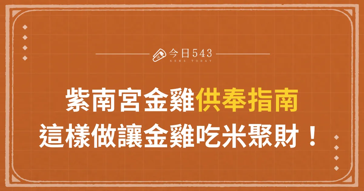 紫南宮金雞供奉指南，這樣做讓金雞吃米聚財！